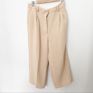 Aritzia Effortless Pants
